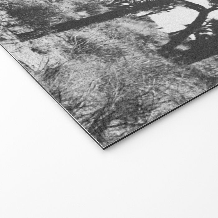JOSHUA TREE IX / California Desert Welcome Mat Gallery Image 2