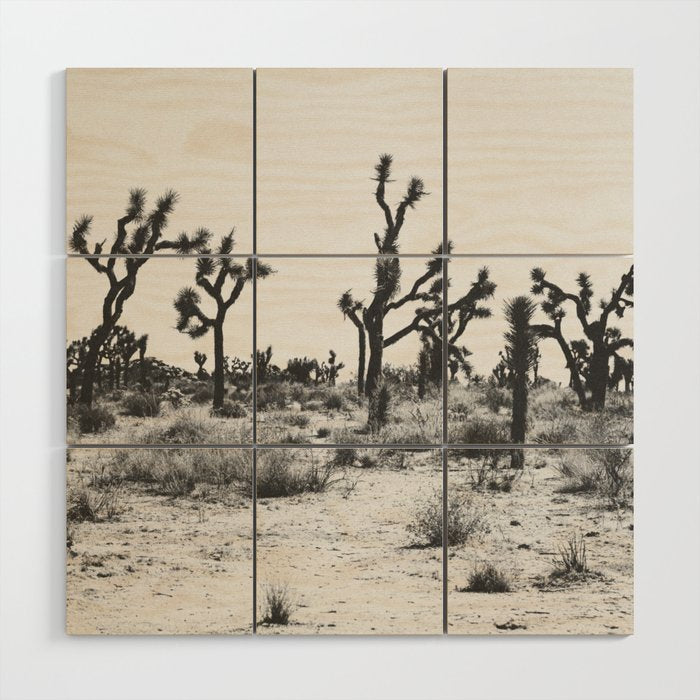 JOSHUA TREE IX / California Desert Wood Wall Art Gallery Image 1