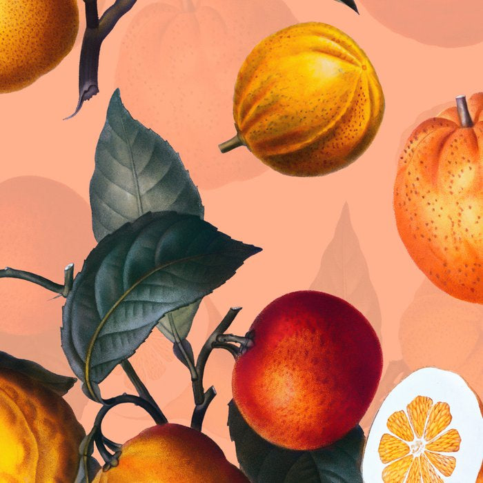 Vintage Fruit Pattern XXV Coffee Mug Gallery Image 2