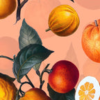 Vintage Fruit Pattern XXV Coffee Mug Gallery Image 2