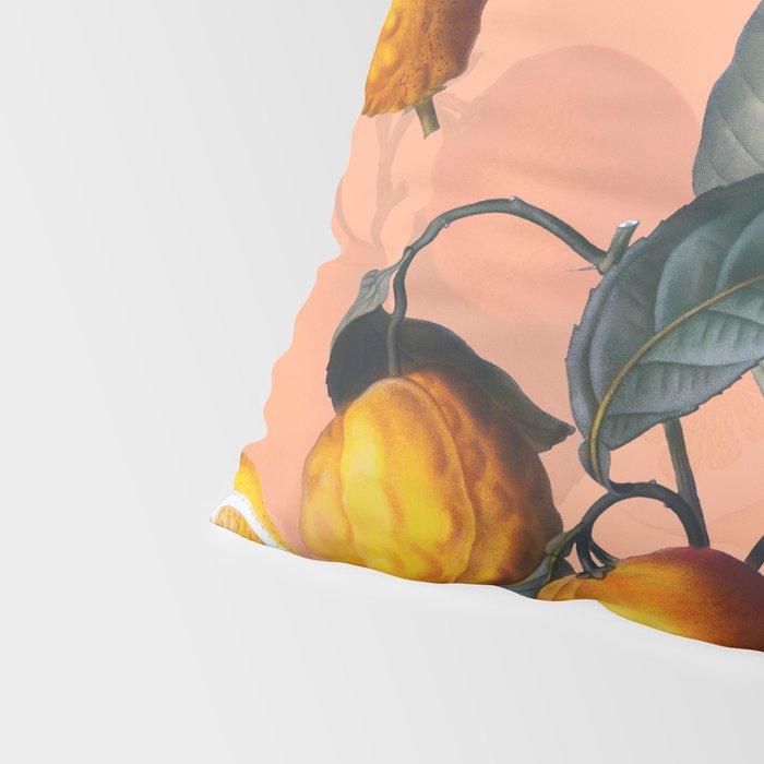 Vintage Fruit Pattern XXV Pillow Sham Gallery Image 4