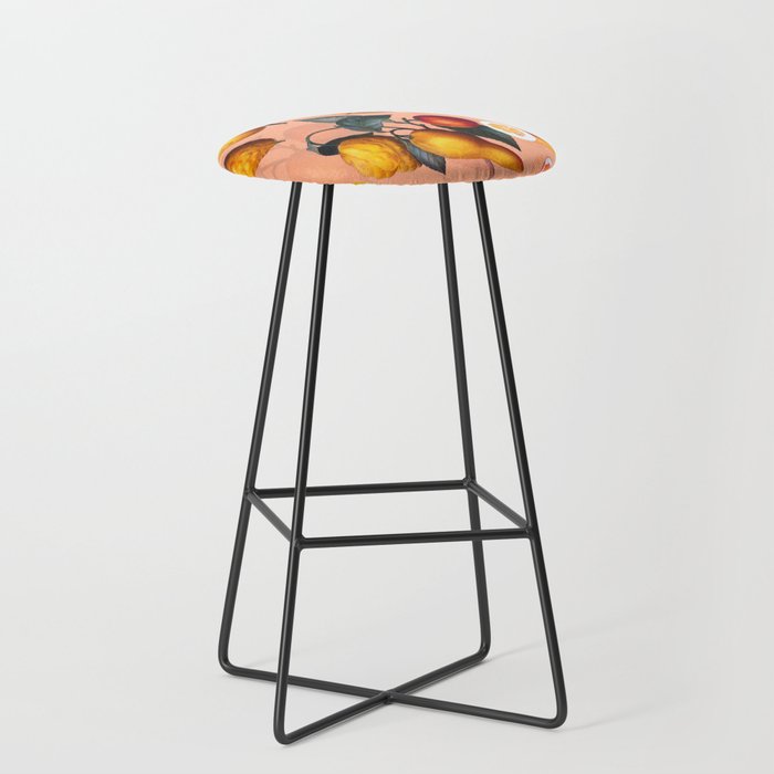 Vintage Fruit Pattern XXV Stool Gallery Image 1