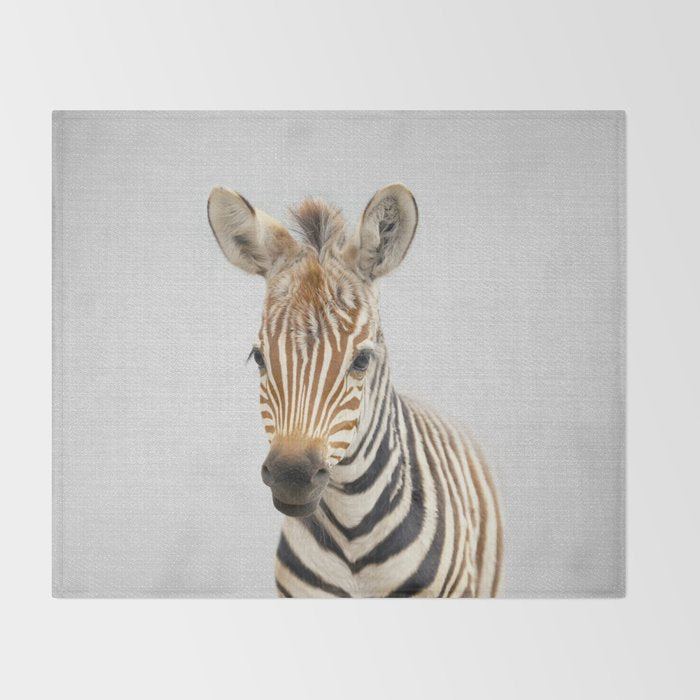 Baby Zebra - Colorful Throw Blanket Gallery Image 2