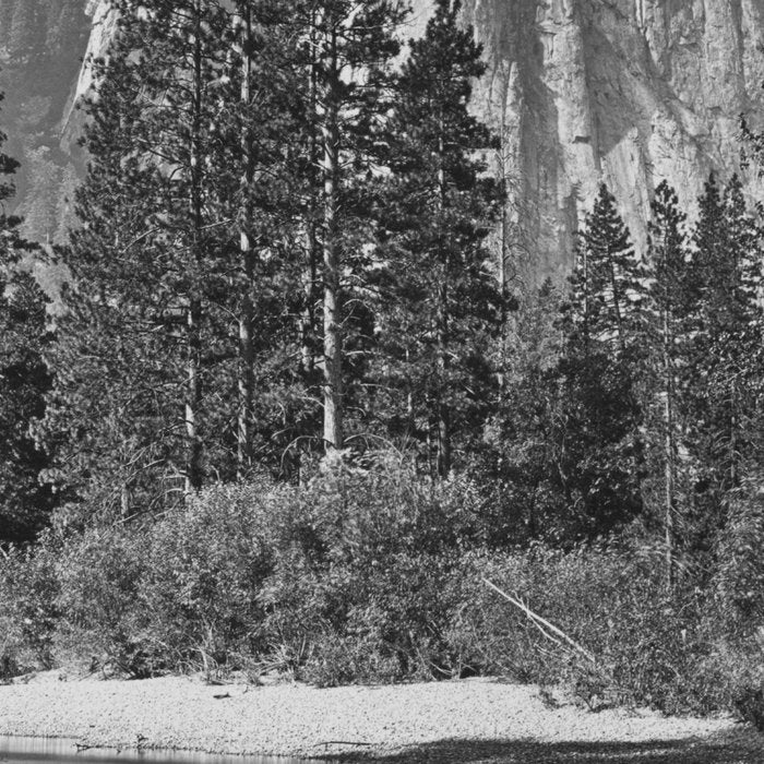 Cathedral Rocks and Reflections, Yosemite black and white photograph by Charles Leander Weed Coffee Mug Gallery Image 2