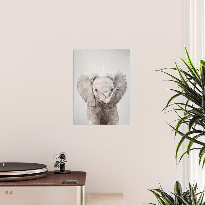 Baby Elephant - Colorful Poster Gallery Image 2