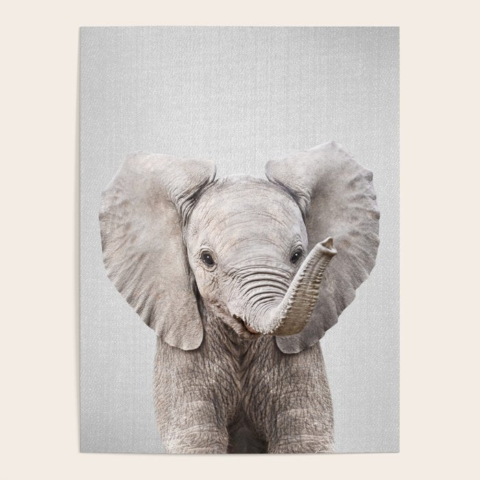 Baby Elephant - Colorful Poster Gallery Image 4