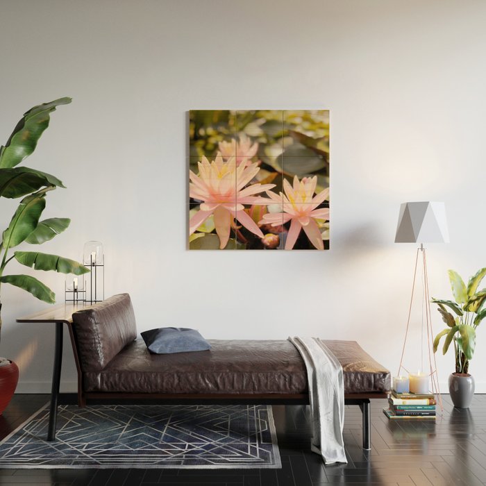 Pink Water Lily Wood Wall Art Gallery Image 2