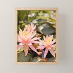 Pink Water Lily Mini Art Print Gallery Image 1