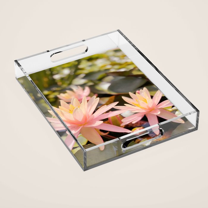 Pink Water Lily Acrylic Tray Gallery Image 1