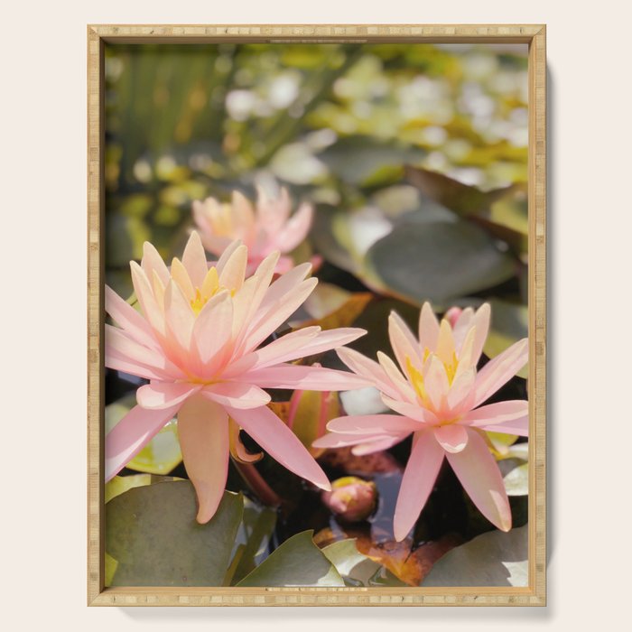 Pink Water Lily Serving Tray Gallery Image 1