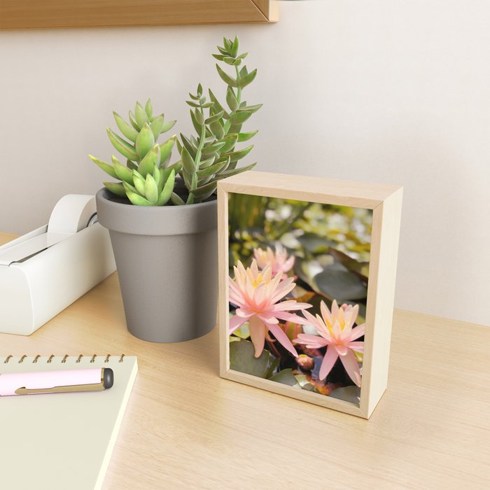 Pink Water Lily Mini Art Print Gallery Image 2