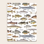 Southeast Freshwater Fish Notebook Gallery Image 4