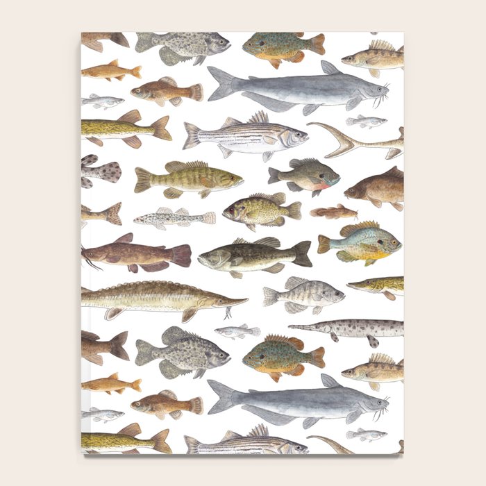 Southeast Freshwater Fish Notebook Gallery Image 4