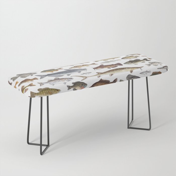 Southeast Freshwater Fish Bench Gallery Image 1