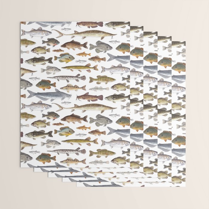 Southeast Freshwater Fish Wrapping Paper Gallery Image 3