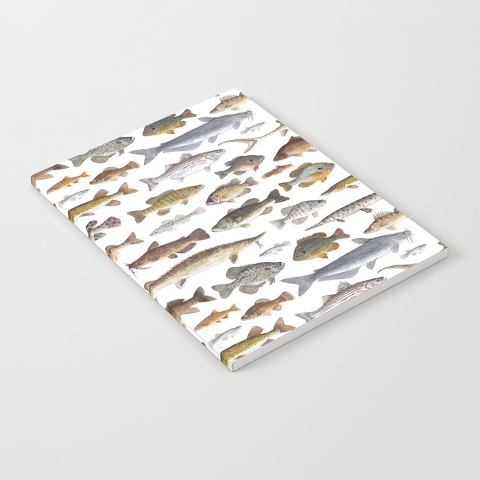 Southeast Freshwater Fish Notebook Gallery Image 1
