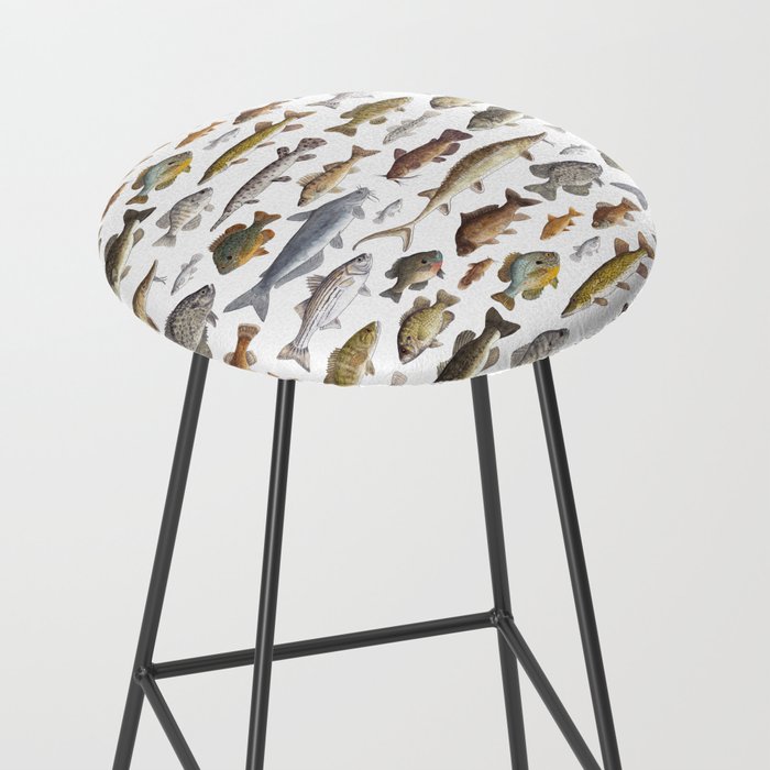 Southeast Freshwater Fish Stool Gallery Image 2