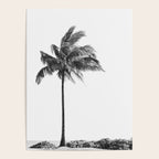 Maui Palm Tree - Black and White Photography Poster Gallery Image 4