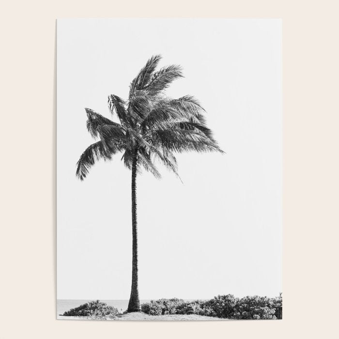 Maui Palm Tree - Black and White Photography Poster Gallery Image 1