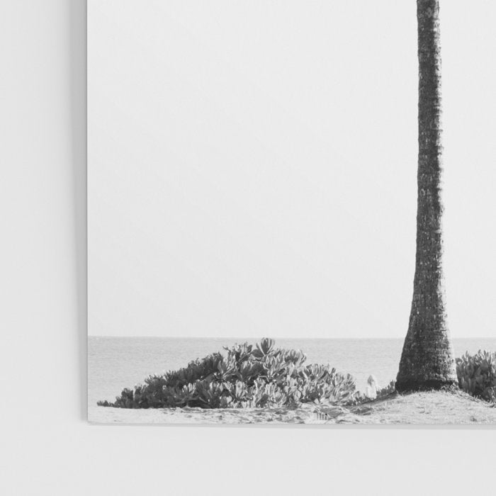 Maui Palm Tree - Black and White Photography Poster Gallery Image 3