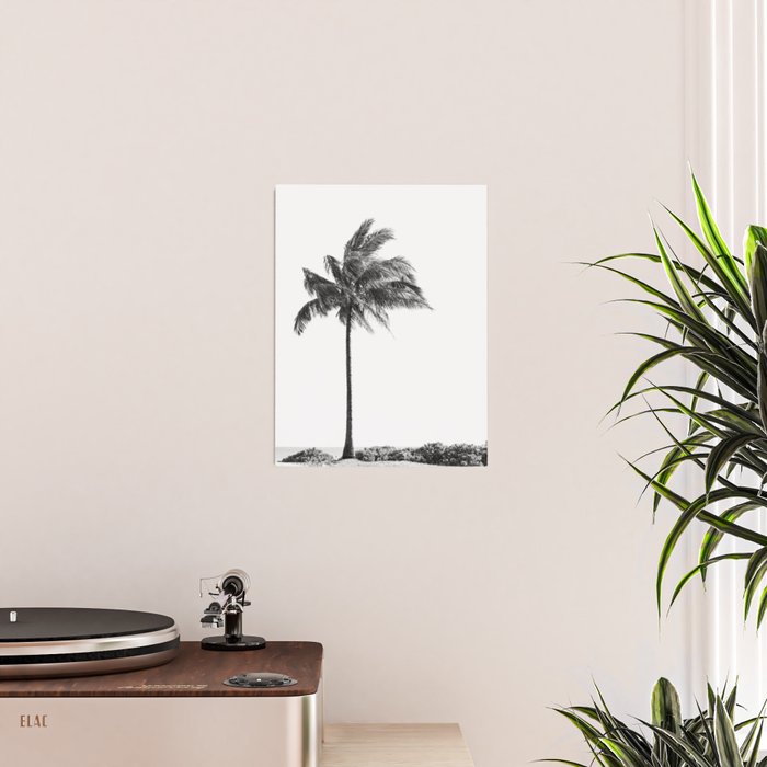 Maui Palm Tree - Black and White Photography Poster Gallery Image 2
