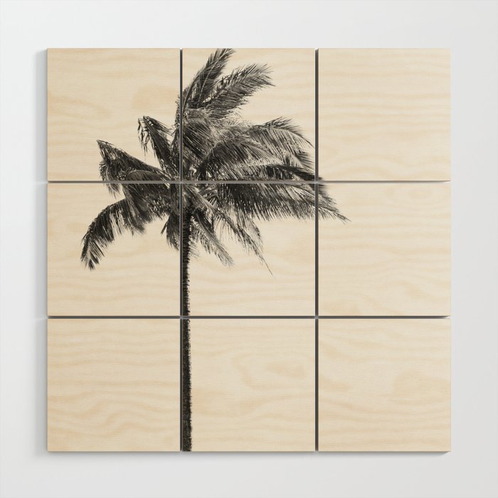 Maui Palm Tree - Black and White Photography Wood Wall Art Gallery Image 1