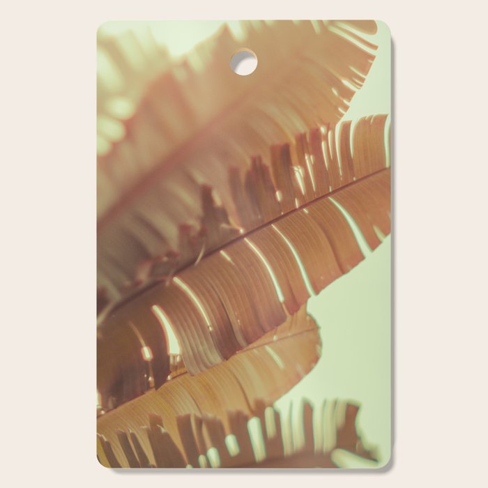 Sunset Banana Leaves tropical leaf botanical photograph Cutting Board Gallery Image 1