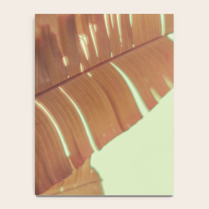 Sunset Banana Leaves tropical leaf botanical photograph Notebook Gallery Image 4
