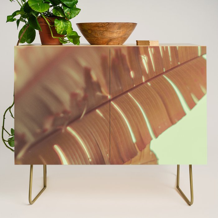 Sunset Banana Leaves tropical leaf botanical photograph Credenza Gallery Image 1