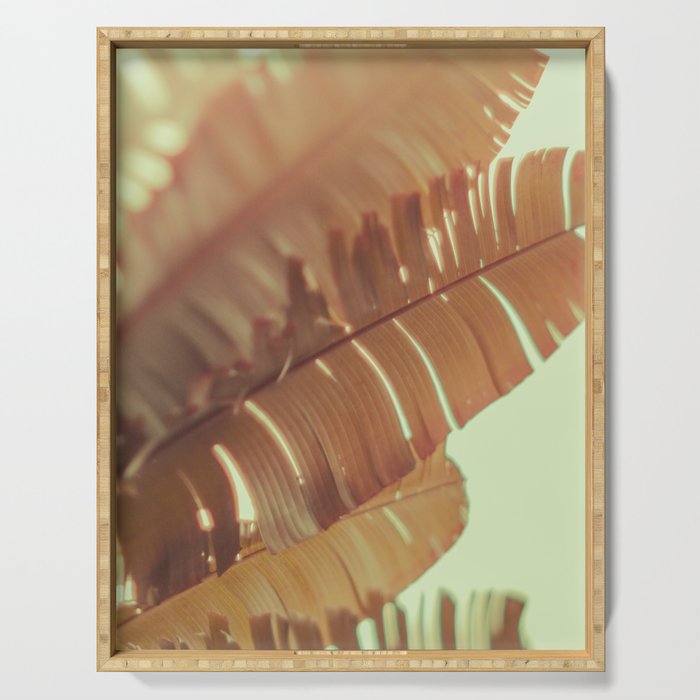 Sunset Banana Leaves tropical leaf botanical photograph Serving Tray Gallery Image 1
