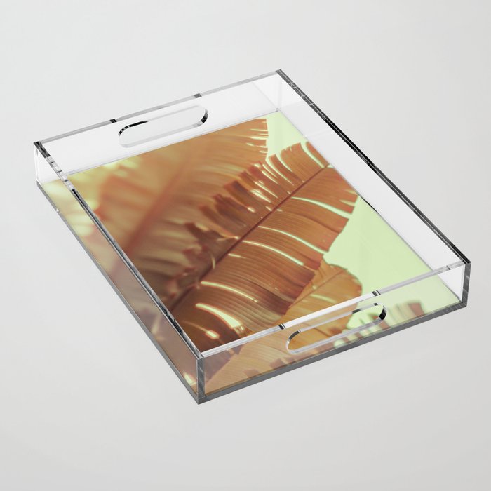 Sunset Banana Leaves tropical leaf botanical photograph Acrylic Tray Gallery Image 1