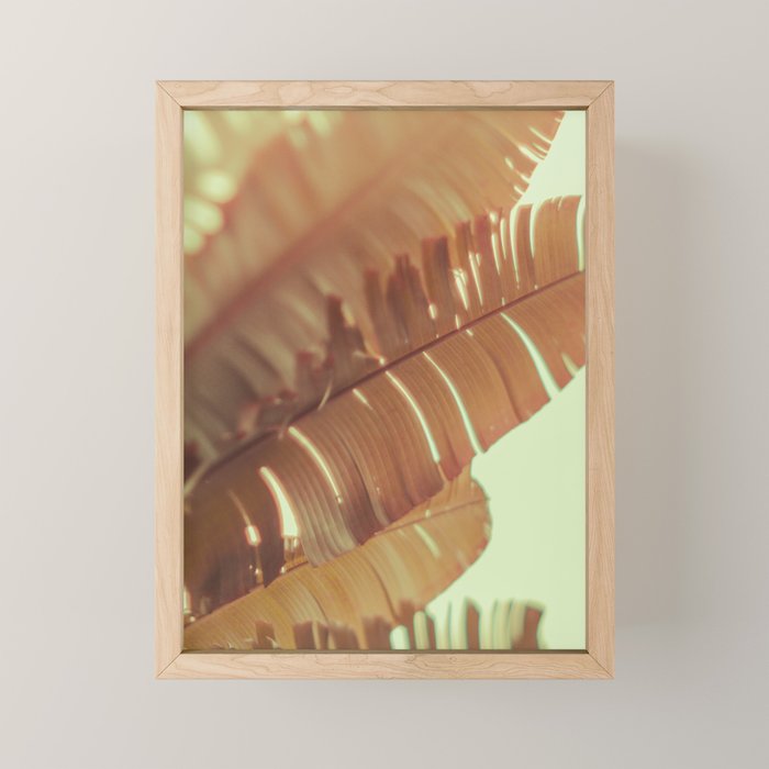 Sunset Banana Leaves tropical leaf botanical photograph Mini Art Print Gallery Image 1