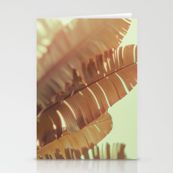 Sunset Banana Leaves tropical leaf botanical photograph Stationery Card Gallery Image 2