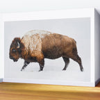Buffalo In The Snow Wall Mural Gallery Image 2