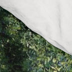 Water Lilies and Japanese Footbridge, Claude Monet Comforter Gallery Image 4