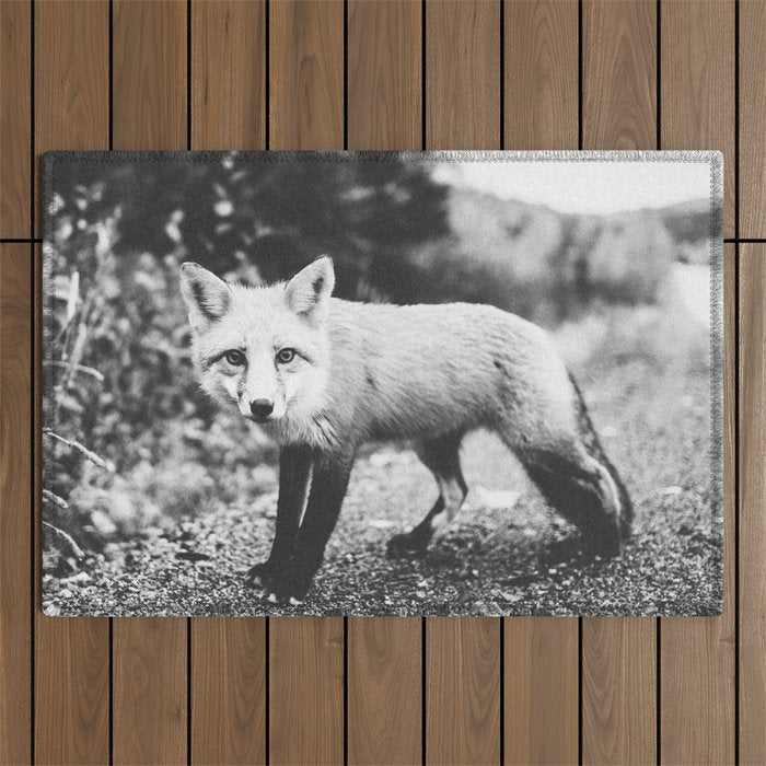 CURIOUS FOX III Outdoor Rug Gallery Image 1