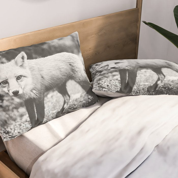 CURIOUS FOX III Pillow Sham Gallery Image 2