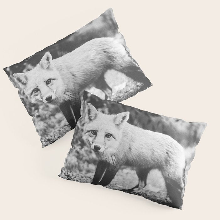CURIOUS FOX III Pillow Sham Gallery Image 1