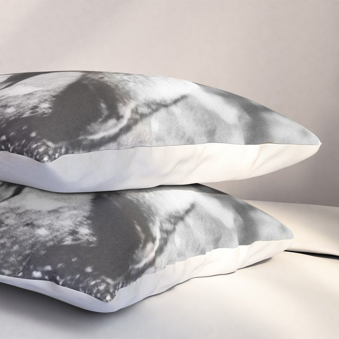 CURIOUS FOX III Pillow Sham Gallery Image 3