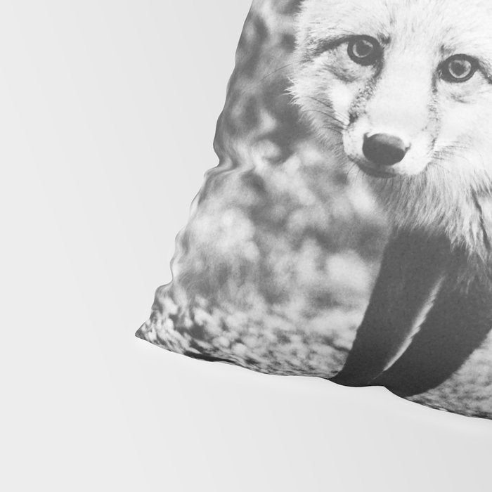 CURIOUS FOX III Pillow Sham Gallery Image 4