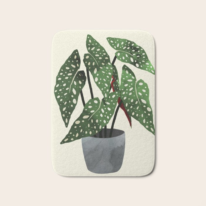 begonia maculata interior plant Bath Mat Gallery Image 1
