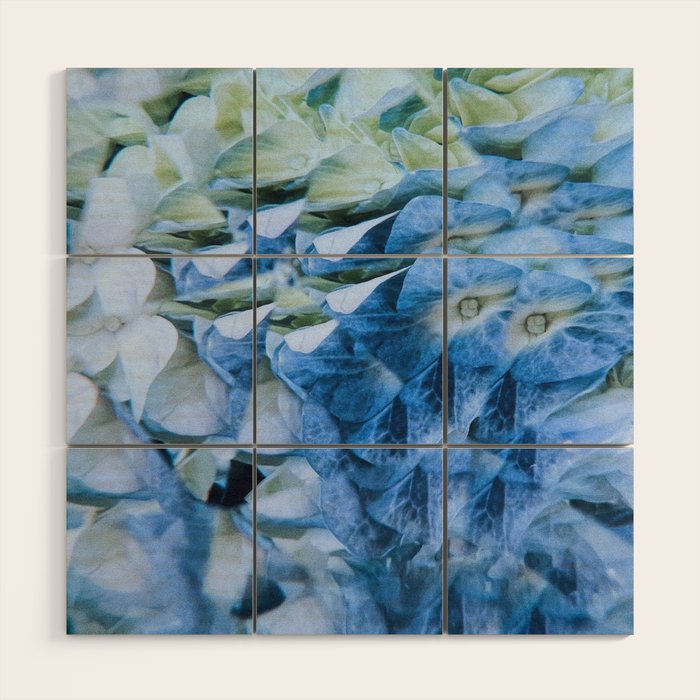 Allene Wood Wall Art Gallery Image 1