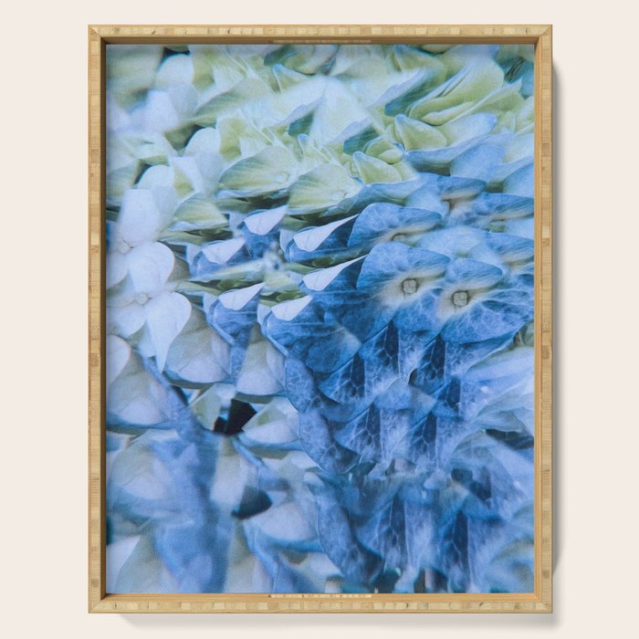Allene Serving Tray Gallery Image 1
