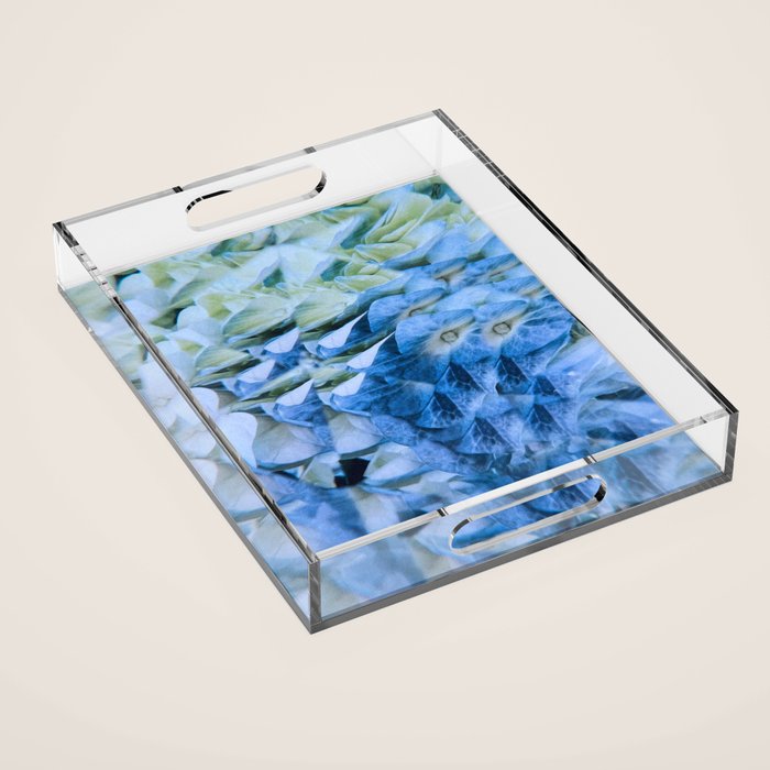 Allene Acrylic Tray Gallery Image 1