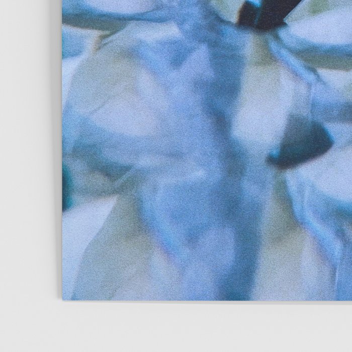 Allene Poster Gallery Image 3