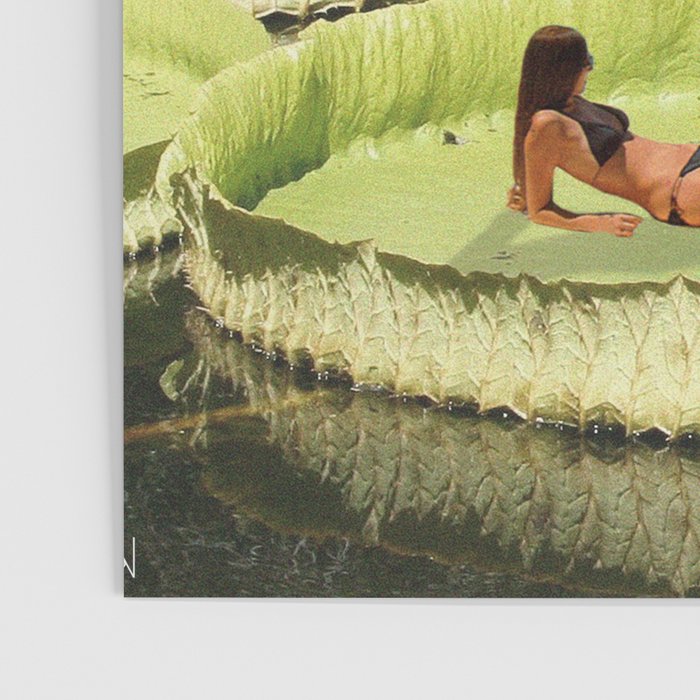 Valley of the Lily Poster Gallery Image 3