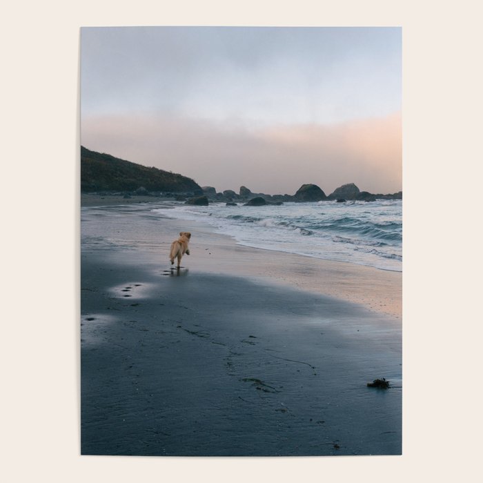 Beachside Enzo Poster Gallery Image 4