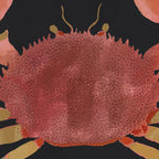 Minimalist Crab 3 Coffee Mug Gallery Image 2