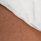 Minimal Abstract Art Vase 18 Comforter Gallery Image 4