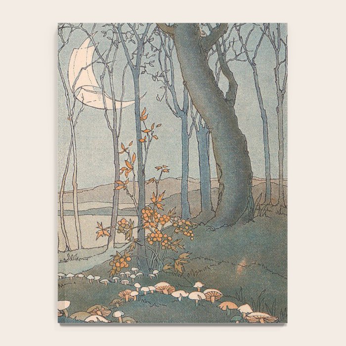 Rabbit in the forest Notebook Gallery Image 4